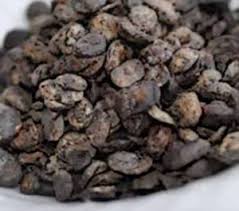 IRU (LOCUST BEANS)